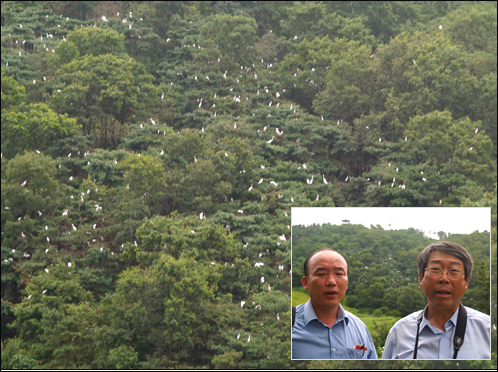 논산 반야산의 백로 집단번식지와 이를 발견한 조남상(왼쪽) 씨와 공주대 조삼래 교수(오른쪽) 